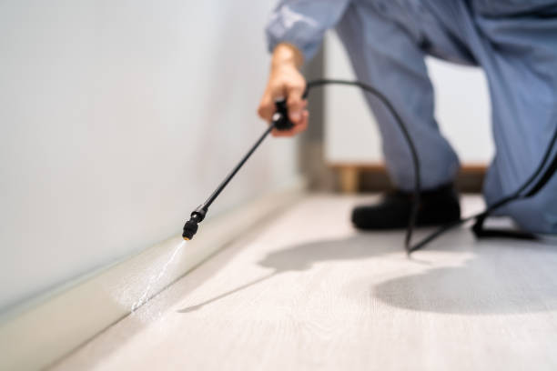 Professional exterminator conducting IPM assessment in New Richmond
