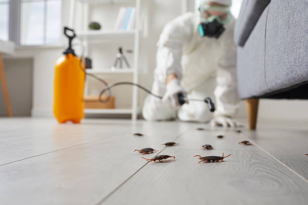 Post-Treatment Bed Bug Interceptor Monitoring in New Richmond