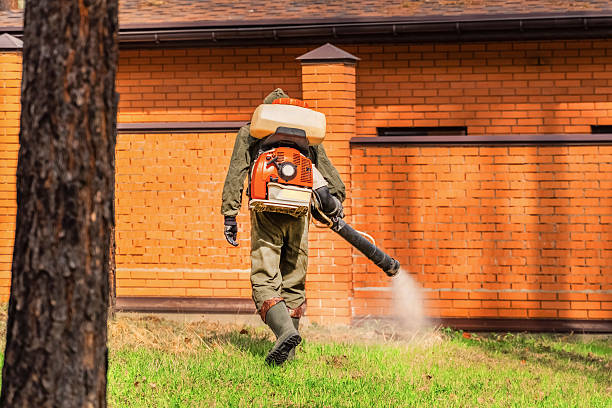 Bed Bug Clearance Verification and Documentation in New Richmond